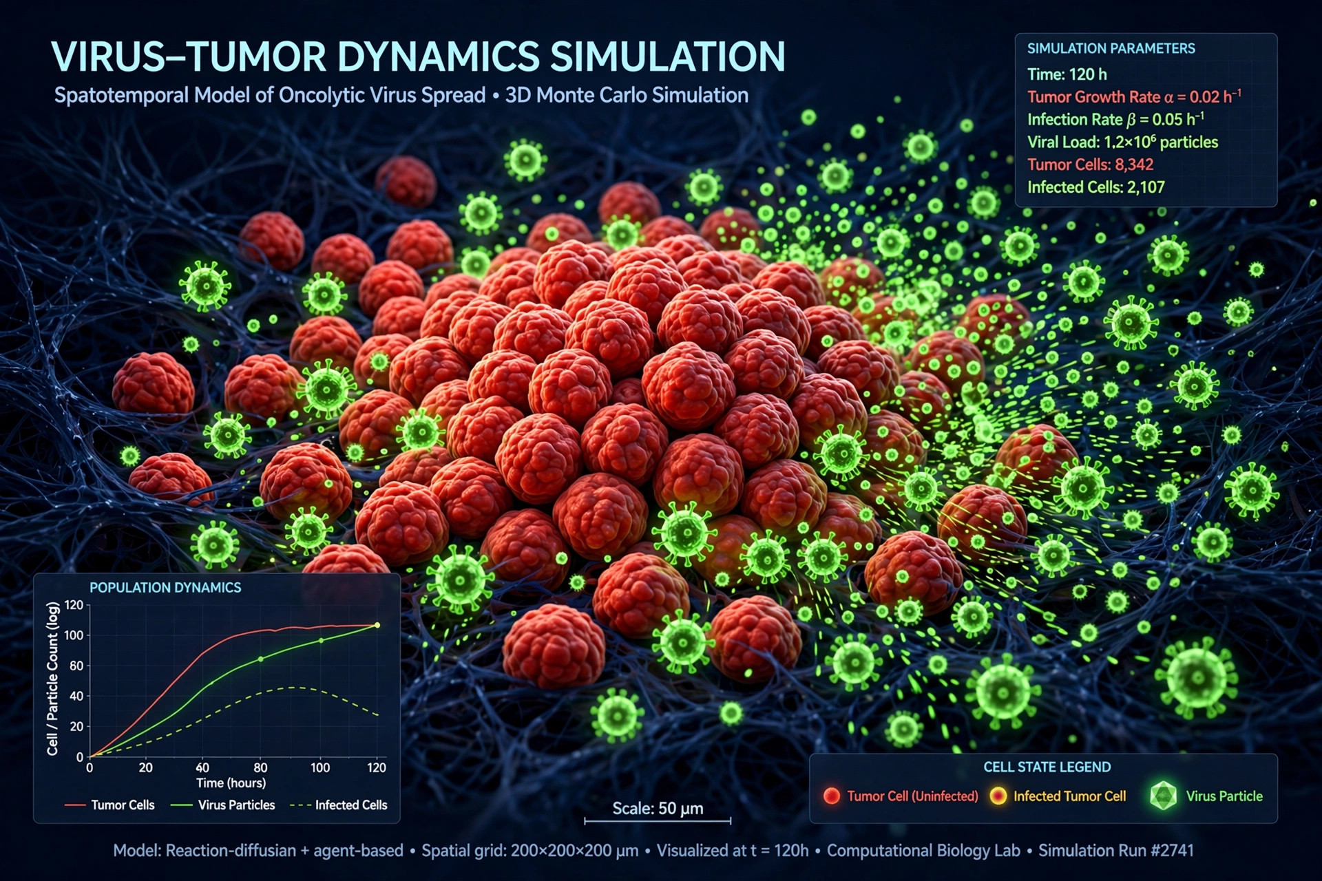 Visualization of a virus-tumor dynamics computer simulation